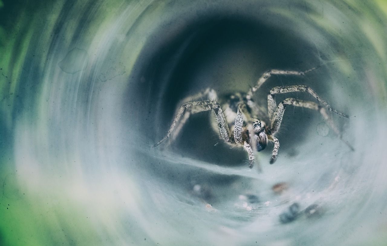 entdecken sie effektive strategien zur bewältigung von angstzuständen. erfahren sie mehr über die ursachen, symptome und behandlungsmöglichkeiten für angst und wie sie ihr wohlbefinden verbessern können.