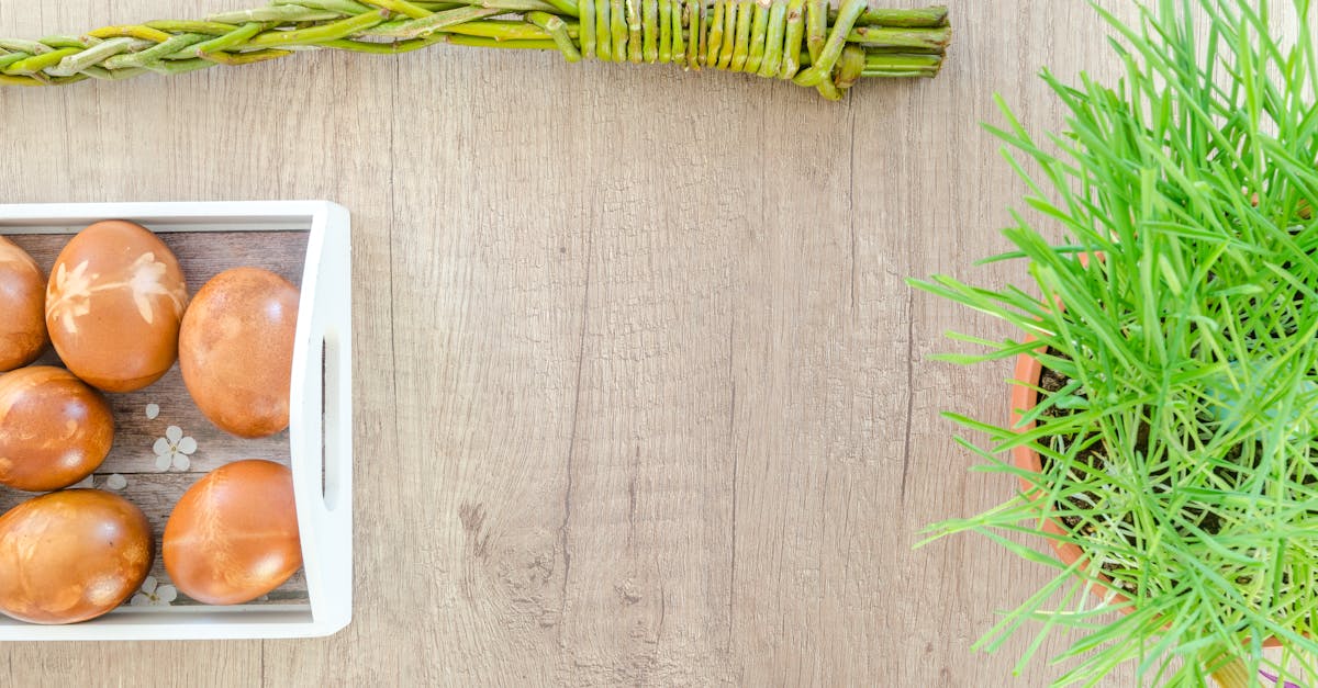 entdecken sie die traditionsreichen und festlichen bräuche von ostern in deutschland. von bunten ostereiern bis zu köstlichen leckereien – feiern sie mit uns die osterzeit!