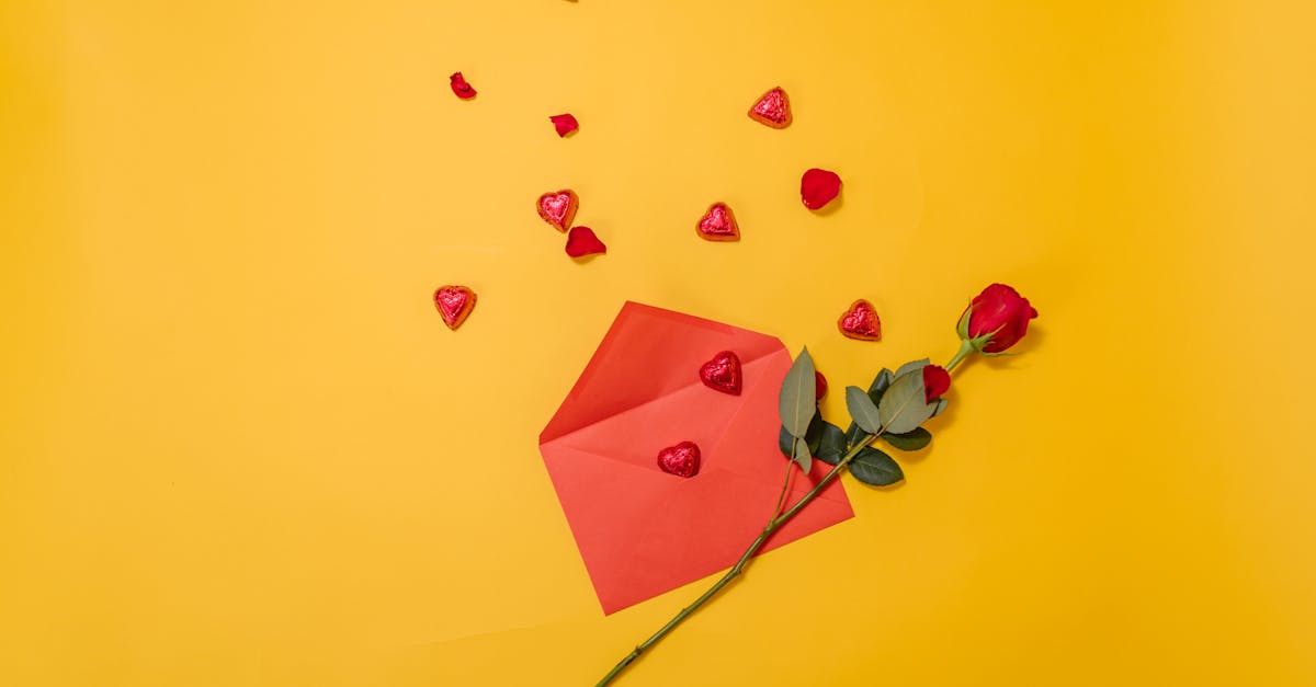 entdecken sie kreative geschenkideen für jeden anlass! von persönlichen überraschungen bis hin zu einzigartigen gadgets – finden sie das perfekte geschenk, das garantiert freude bereitet.