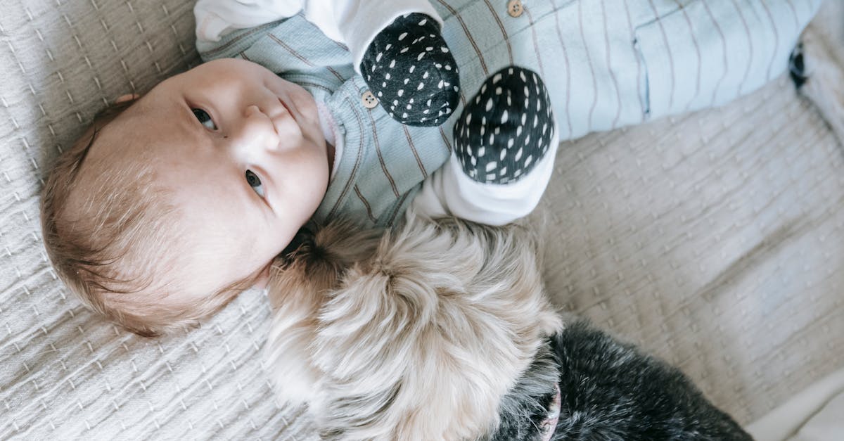 entdecken sie unser hochwertiges babybett, das komfort und sicherheit für ihr baby bietet. mit exquisitem design und robusten materialien sorgt es für süße träume und gemütliche nächte. ideal für jedes kinderzimmer!