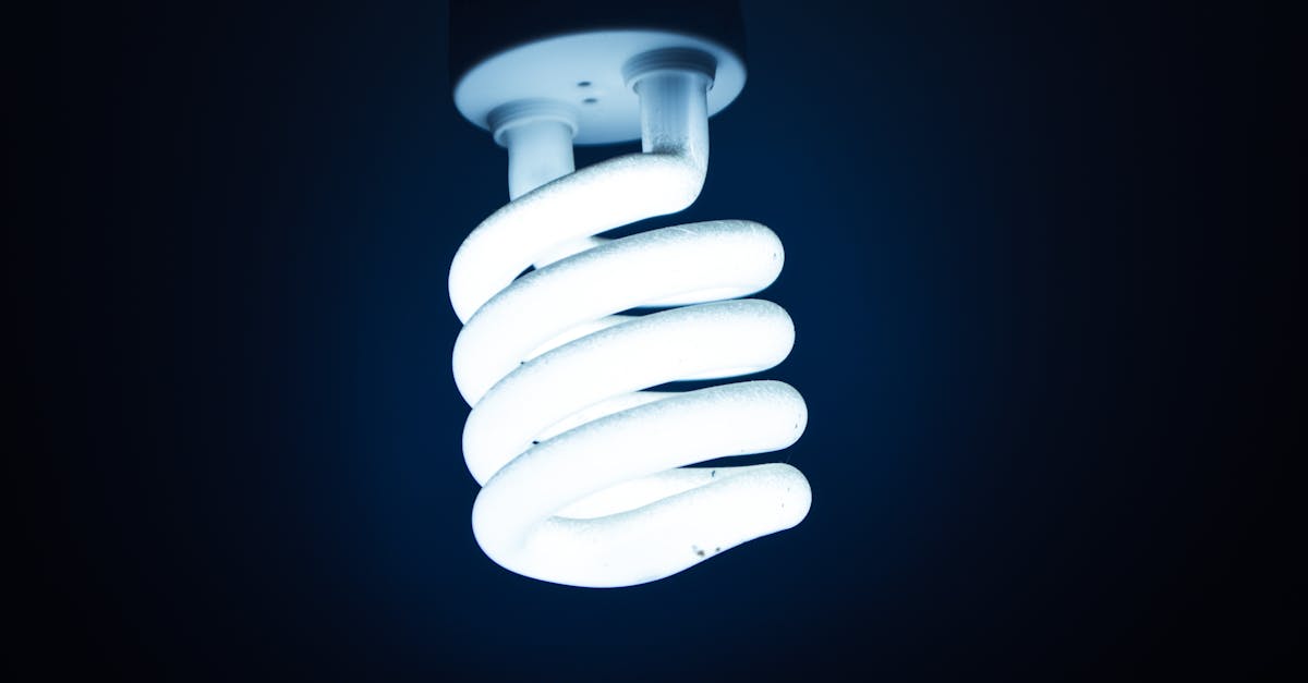 entdecken sie kreative ideen und inspirationen, die ihren alltag bereichern. lassen sie sich von neuen perspektiven und innovativen konzepten anregen, um ihre projekte und träume zu verwirklichen.