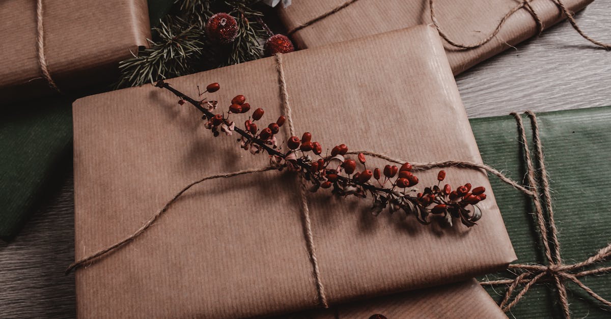 Nachhaltige Geschenke: Kreative Ideen für umweltbewusste Geschenke
