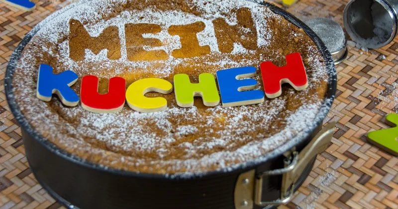 Kastenform, Blech oder Springform: der ehrliche Vergleich