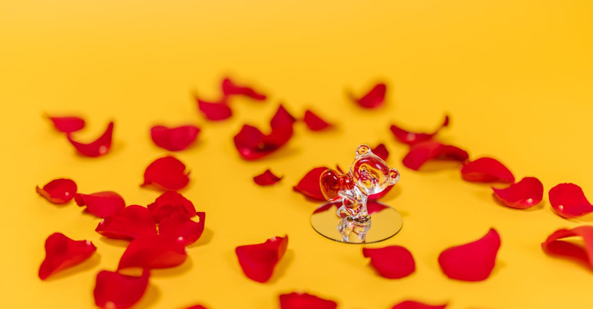 Geschenke zu besonderen Anlässen: Kreative Ideen für jeden Anlass