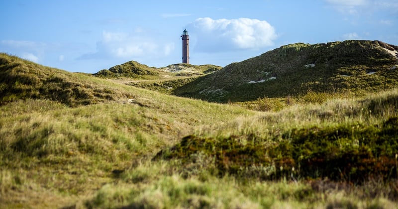 Norderney mit Kindern: 25 unvergessliche Erlebnisse für die ganze Familie
