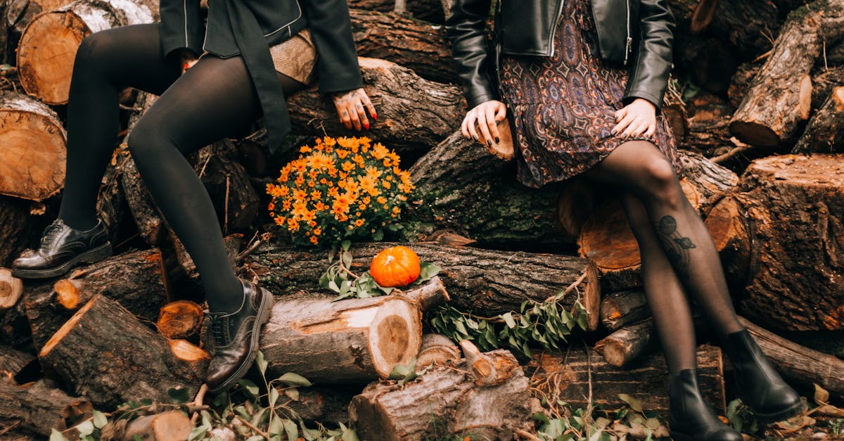 entdecken sie die farbenpracht und die schönheit des herbstes. genießen sie gemütliche spaziergänge, die erntezeit und die wunderbare atmosphäre dieser goldenen jahreszeit.