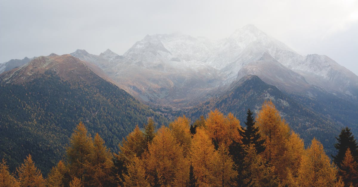 entdecken sie die schönheit des herbstes mit seinen farbenfrohen blättern, frischen ernten und gemütlichen moments. genießen sie die kühlen tage und die zauberhafte atmosphäre der goldenen jahreszeit.