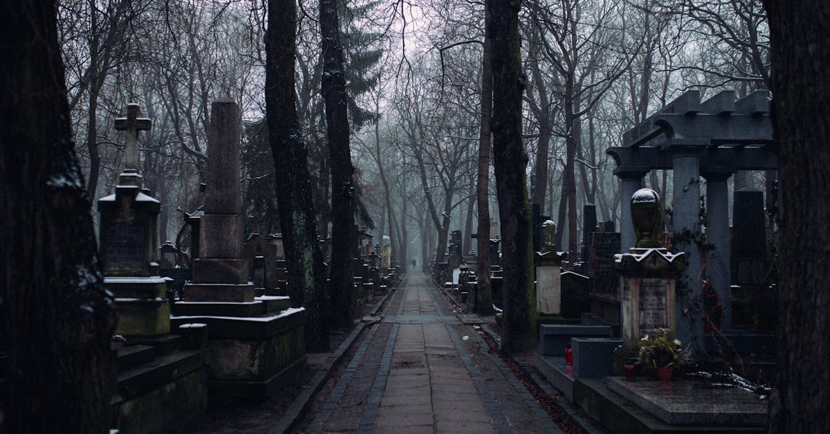 erleben sie die kraft der erinnerungen mit 'remembrances'. entdecken sie emotionale geschichten und nostalgische momente, die das herz berühren und die zeit überdauern.