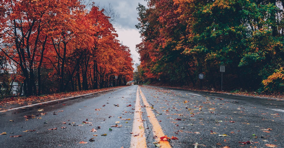 entdecken sie die schönheit der jahreszeiten und erleben sie, wie sich die natur im frühling, sommer, herbst und winter verwandelt. lassen sie sich von fantastischen landschaften und saisonalen aktivitäten inspirieren.