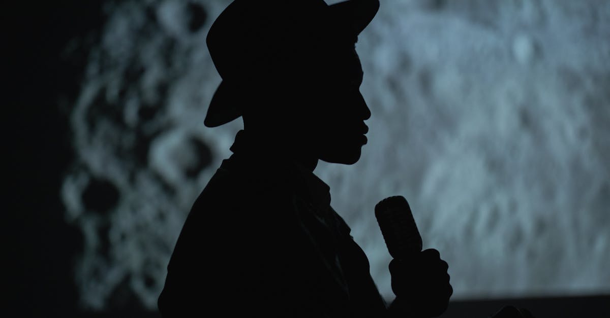 entdecken sie die faszinierende welt von shadowplay, wo licht und schatten in einer fesselnden erzählung verschmelzen. tauchen sie ein in ein visuelles erlebnis voller spannung und kreativität!
