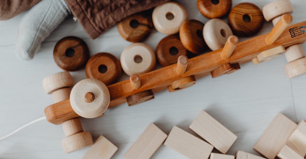entdecken sie nachhaltige spielzeuge, die umweltfreundlich und sicher für ihre kinder sind. fördern sie das kreative spielen und die entwicklung mit hochwertigen, ökologischen materialien.