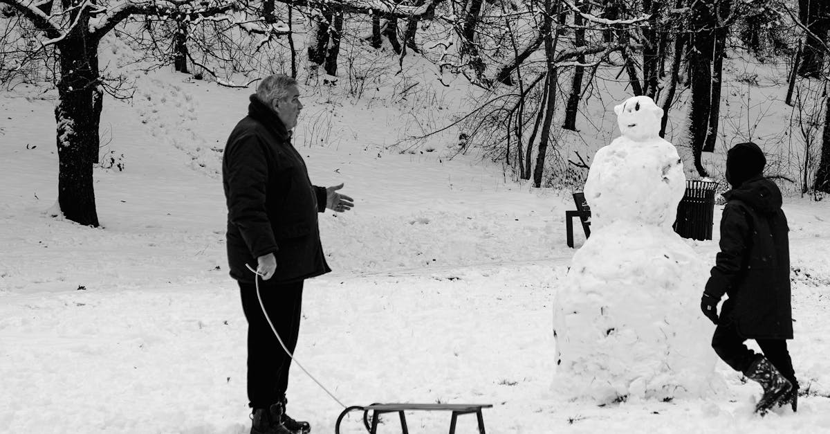 entdecken sie die besten winteraktivitäten, von ski- und snowboardfahren über gemütliche weihnachtsmärkte bis hin zu aufregenden schneeschuhwanderungen. genießen sie die kalte jahreszeit in vollen zügen!