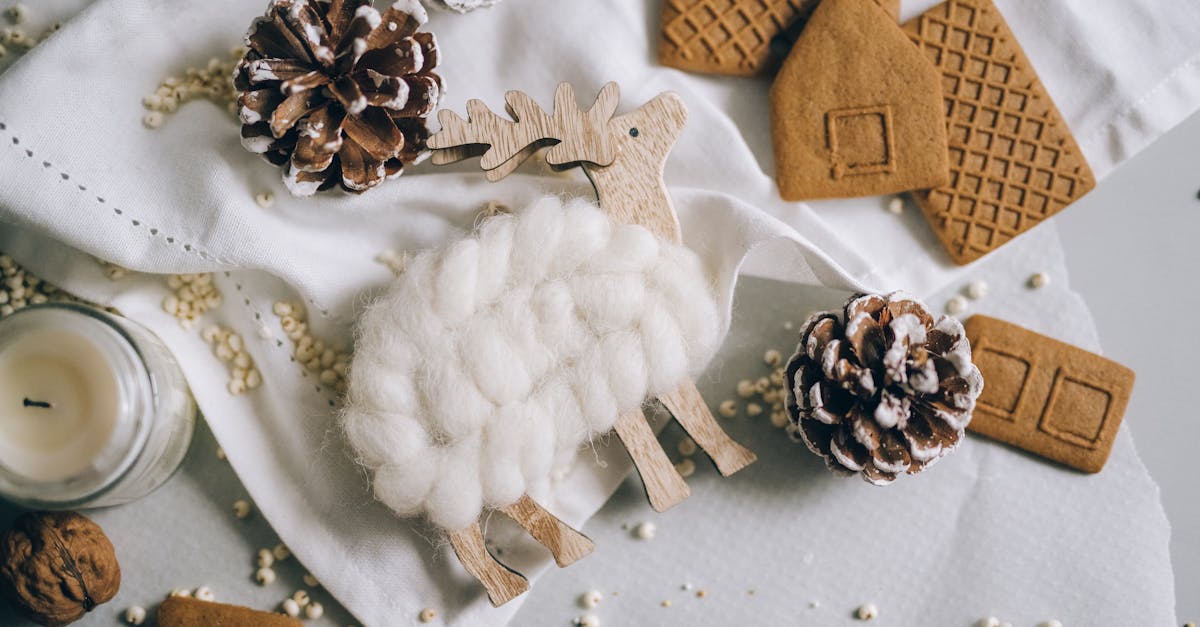 entdecken sie die besten wintertipps für eine gemütliche und unvergessliche saison. von praktischen ratschlägen für kalte tage bis hin zu ideen für winteraktivitäten – alles, was sie brauchen, um den winter in vollen zügen zu genießen.
