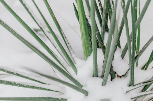 entdecken sie unsere besten wintertipps für eine gemütliche und angenehme saison. von der richtigen kleidung bis zu hausgemachten rezepten – alles, was sie brauchen, um den winter zu genießen!