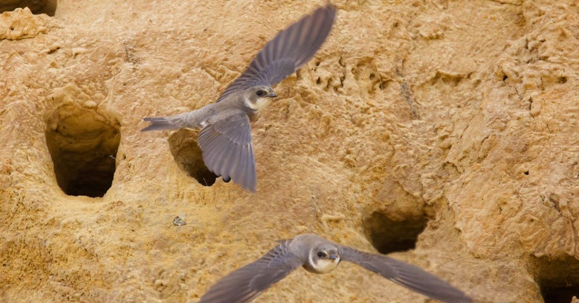 entdecken sie die ursachen, symptome und behandlungsmöglichkeiten von karies. erfahren sie, wie sie ihre zahngesundheit schützen und karies effektiv vorbeugen können.