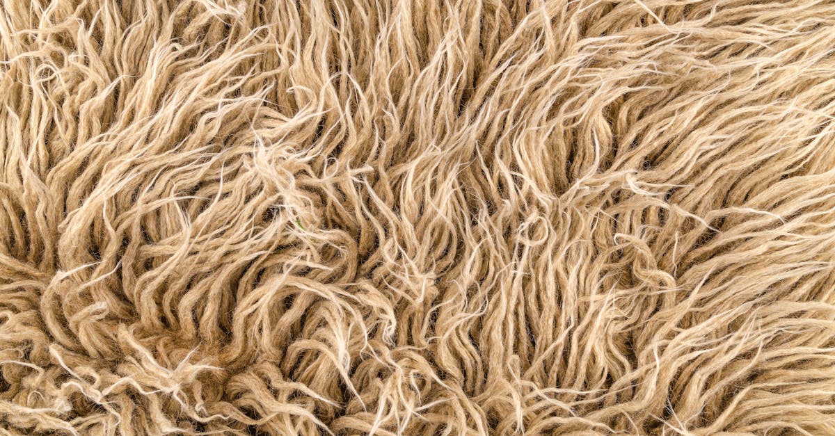 entdecken sie die vorteile von stoffwindeln – umweltfreundlich, kostensparend und hautfreundlich für ihr baby. informationen über verschiedene materialien, größen und tipps zur anwendung.