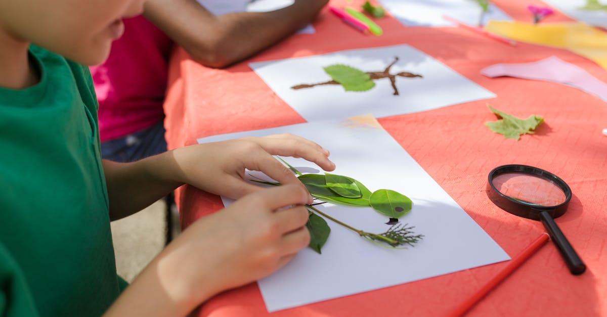 entdecken sie eine vielzahl von bastelmaterialien für kreative projekte. von papier und farben bis hin zu werkzeugen und zubehör – alles, was sie für ihre bastelideen benötigen, finden sie hier!