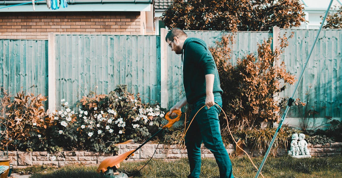 entdecken sie die freude am gärtnern! tipps, tricks und anleitungen für alle gartenliebhaber. egal ob sie anfänger oder profi sind, hier finden sie alles für einen blühenden garten.
