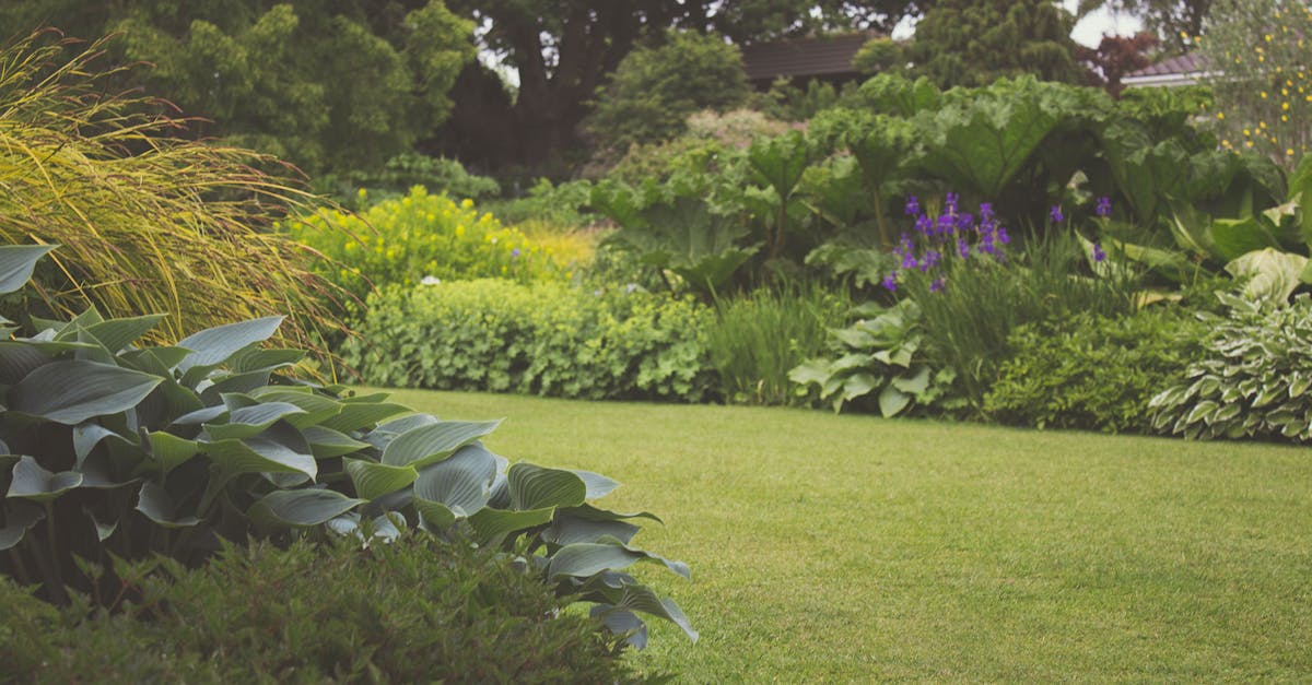 entdecken sie die welt des gartenbaus! tipps, tricks und inspirationen für hobbygärtner, um ihren garten zu gestalten und zu pflegen.