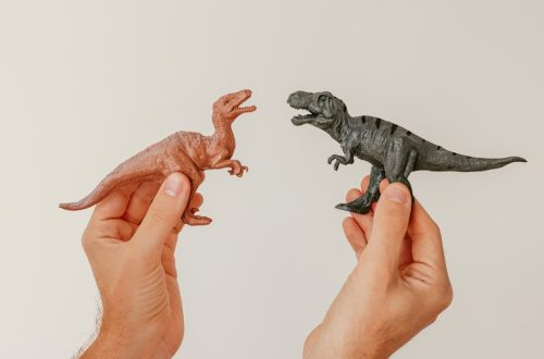 entdecken sie nostalgische spielzeuge, die erinnerungen an vergangene zeiten wecken. von klassischen holzspielzeugen bis hin zu liebevoll gestalteten sammlerstücken – finden sie das perfekte geschenk für groß und klein.