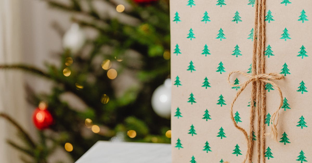entdecken sie nachhaltige geschenke, die umweltfreundlich und vielseitig sind. ideal für jeden anlass, unsere handverlesenen produkte fördern einen bewussten lebensstil und unterstützen nachhaltige marken.