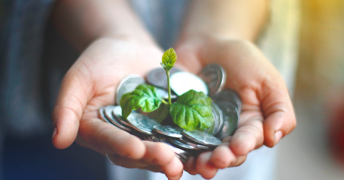 entdecken sie strategien für nachhaltigen erfolg, die unternehmen helfen, umweltfreundlich zu wachsen und gleichzeitig wirtschaftlichen gewinn zu erzielen.
