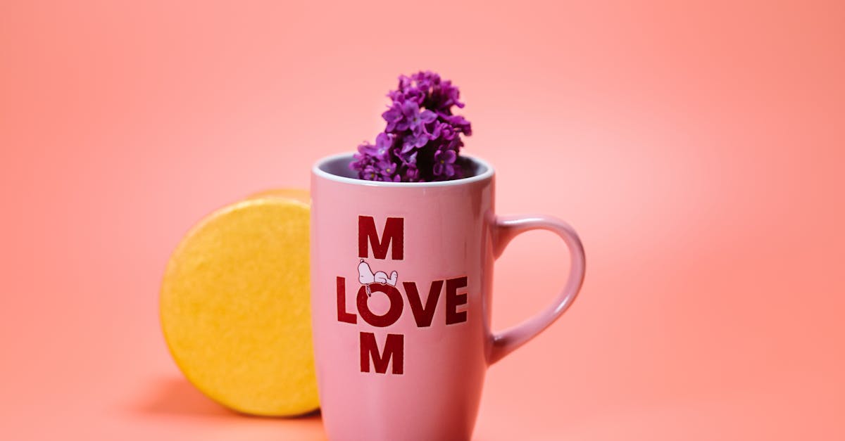 entdecken sie kreative und originelle geschenkideen für jeden anlass! von persönlichen geschenken bis hin zu einzigartigen überraschungen - finden sie das perfekte geschenk für ihre lieben.