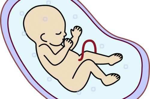 entdecken sie die meilensteine der babyentwicklung und erfahren sie, wie sie ihr kind in den ersten lebensmonaten optimal fördern können.