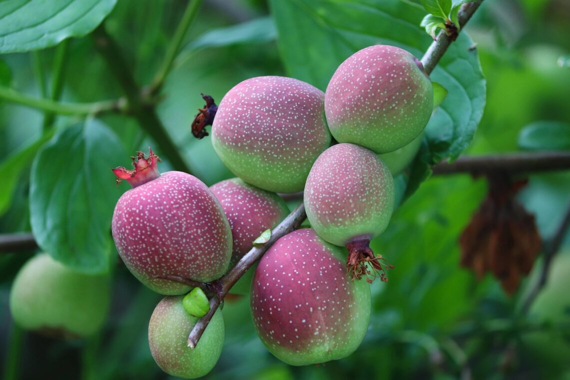 effiziente familienorganisation: tipps und tools, um den alltag zu strukturieren, termine zu koordinieren und das familienleben stressfrei zu gestalten.