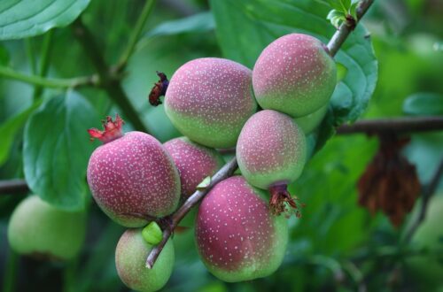 effiziente familienorganisation: tipps und tools, um den alltag zu strukturieren, termine zu koordinieren und das familienleben stressfrei zu gestalten.